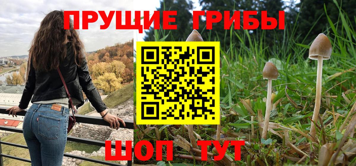 Псилоцибиновые грибы Magic Shrooms Ачинск