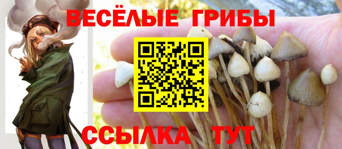 Ачинск  как найти закладки  Вход с VPN  Псилоцибиновые грибы мицелий 